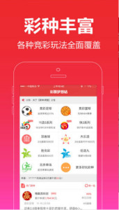2024澳門王中王100%期期中,揭秘澳門王中王彩票游戲，期期中的奧秘與風(fēng)險應(yīng)對