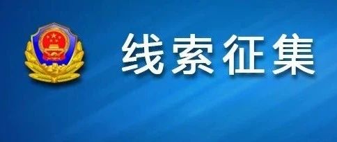 澳門正版資料免費大全新聞——揭示違法犯罪問題,澳門正版資料免費大全新聞——揭示違法犯罪問題的深度探討