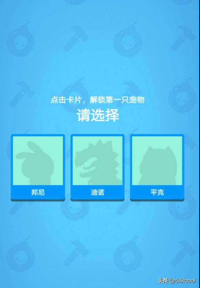一肖一碼中持一一肖一碼,一肖一碼中持一一肖一碼，探索與理解