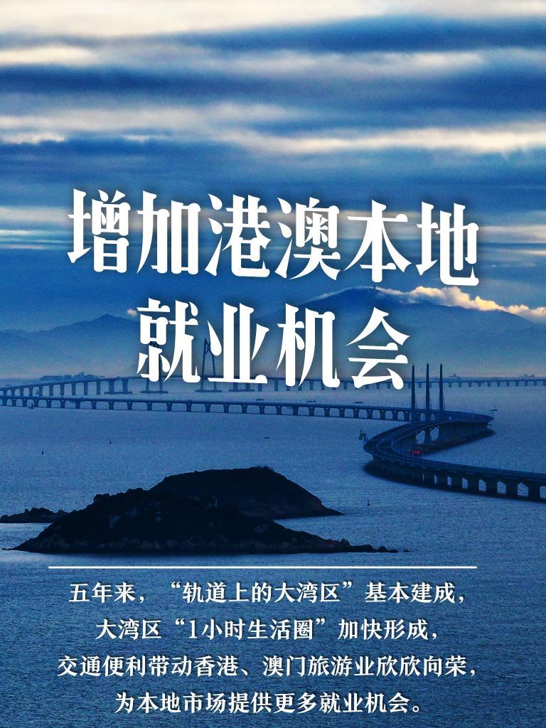 新澳門精準(zhǔn)的資料大全,新澳門精準(zhǔn)的資料大全，探索與解讀