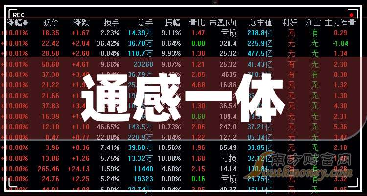 2025年2月1日 第49頁