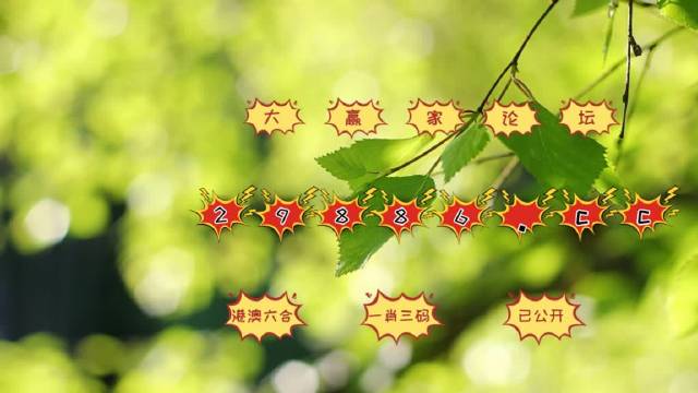 六合圖庫,六合圖庫，探索數(shù)字世界的寶藏之地