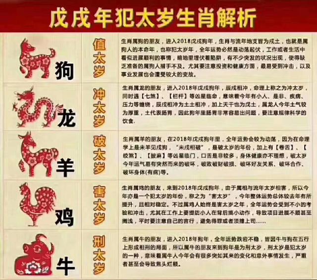 最準(zhǔn)一肖100%最準(zhǔn)的資料,揭秘最準(zhǔn)一肖，探尋生肖預(yù)測(cè)真相與資料準(zhǔn)確性