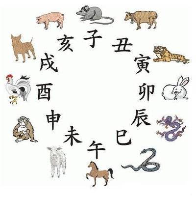 2025澳家婆一肖一特,探索未來，聚焦澳家婆與生肖特肖的獨(dú)特魅力（2025年展望）