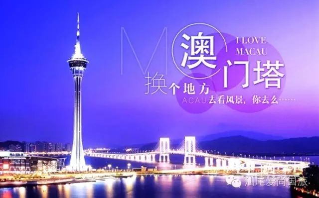 澳門(mén)一碼一肖一特一中Ta幾si,澳門(mén)一碼一肖一特一中，揭示犯罪問(wèn)題的嚴(yán)重性