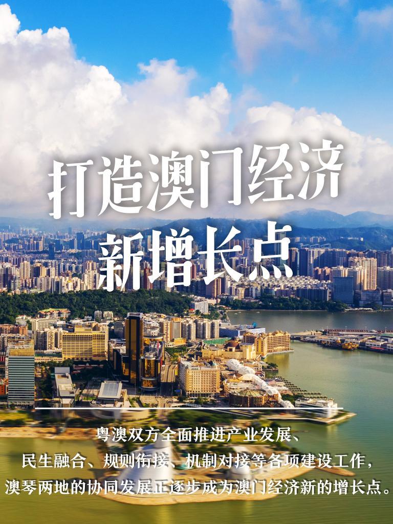 新澳新澳門正版資料,新澳新澳門正版資料，探索與解讀