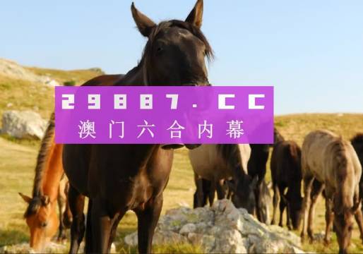 2025澳門管家婆一肖,澳門管家婆一肖，預(yù)測(cè)與探索
