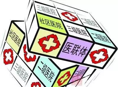 2025年新奧梅特免費資料大全124期 04-05-06-13-34-43D：15,探索新奧梅特世界，2025年免費資料大全第124期揭秘