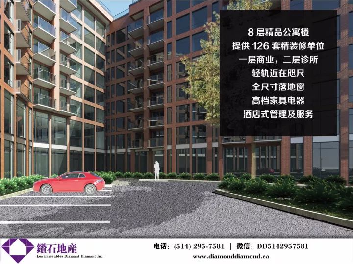 新澳門芳草地內(nèi)部資料精準(zhǔn)大全036期 15-26-39-43-47-48K：41,新澳門芳草地內(nèi)部資料精準(zhǔn)大全第036期解析——揭秘?cái)?shù)字背后的秘密