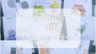 2025年管家婆的馬資料50期103期 07-22-29-33-34-38V：41,揭秘彩票背后的故事，探索管家婆的馬資料與神秘數(shù)字組合