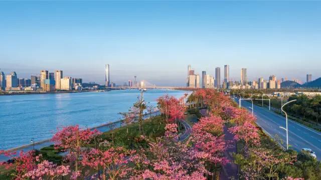 新奧門最精準資料大全053期 36-02-48-22-41-45T：27,新奧門最精準資料大全第053期深度解析，探索數(shù)字背后的秘密與機遇