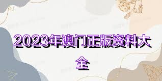 2023澳門正版全年免費資料010期 07-09-21-28-30-45H：17,澳門正版全年免費資料解析，探索2023年010期的秘密與策略