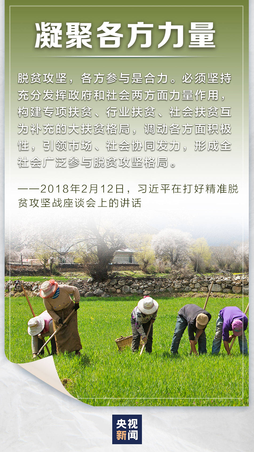 7777788888精準(zhǔn)跑狗圖正版002期 05-17-18-29-46-47Y：16,探索精準(zhǔn)跑狗圖，7777788888正版002期之謎與策略解析