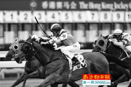 2024香港今期開獎(jiǎng)號(hào)碼馬會(huì)090期 02-07-08-28-35-42L：26,探索香港馬會(huì)2024年今期開獎(jiǎng)號(hào)碼，090期的神秘?cái)?shù)字組合
