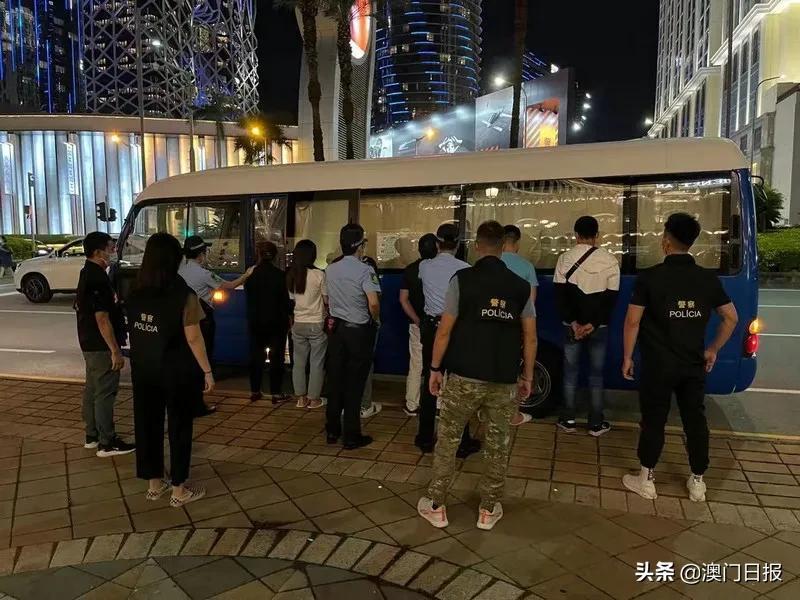 澳門今晚一肖中特086期 03-04-06-20-38-49F：01,澳門今晚一肖中特086期分析與預(yù)測(cè)，走向成功的神秘?cái)?shù)字組合