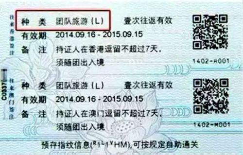 今天新澳門正版掛牌021期 02-19-20-29-38-49K：04,探索新澳門正版掛牌021期，數(shù)字間的奧秘與機(jī)遇